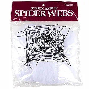 Spider web with 2 fake spider