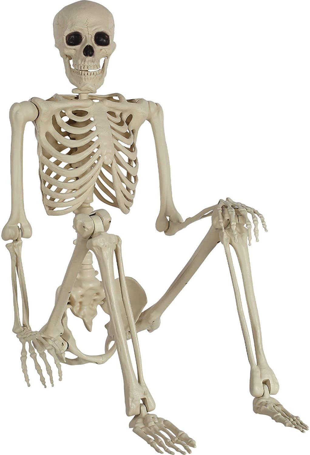 Halloween Skeleton - 5 Feet