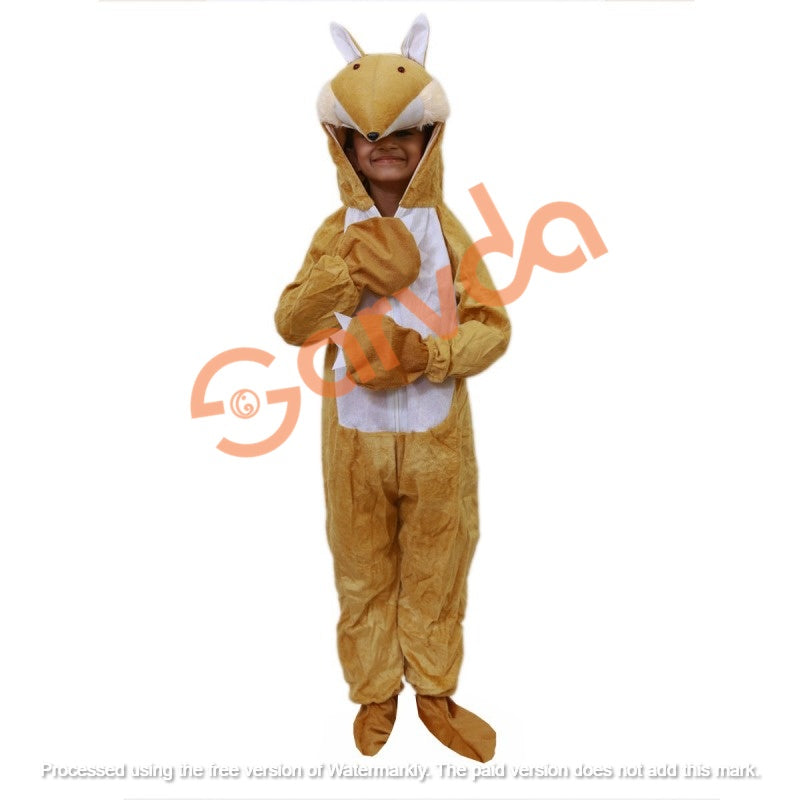 Fox Costume