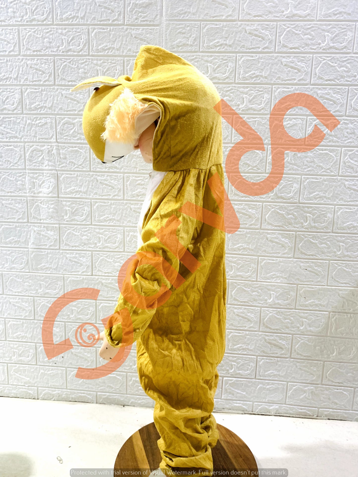 Fox Costume