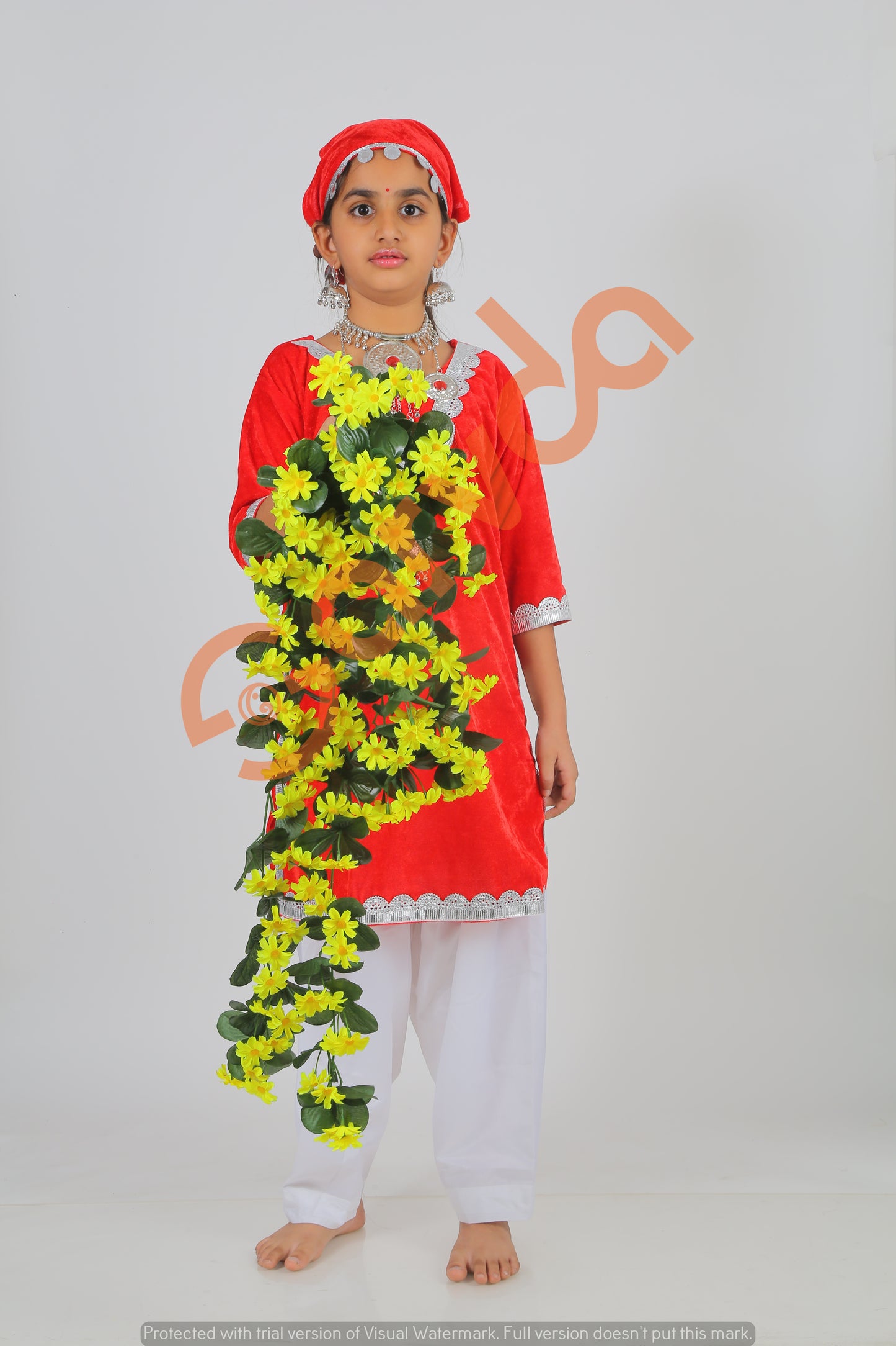 Kashmiri fancy dress  Salwar suit- Velvet fabric- State Costume