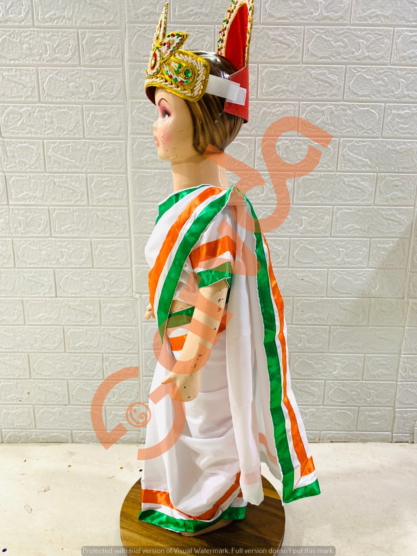 Tiranga Saree Dress