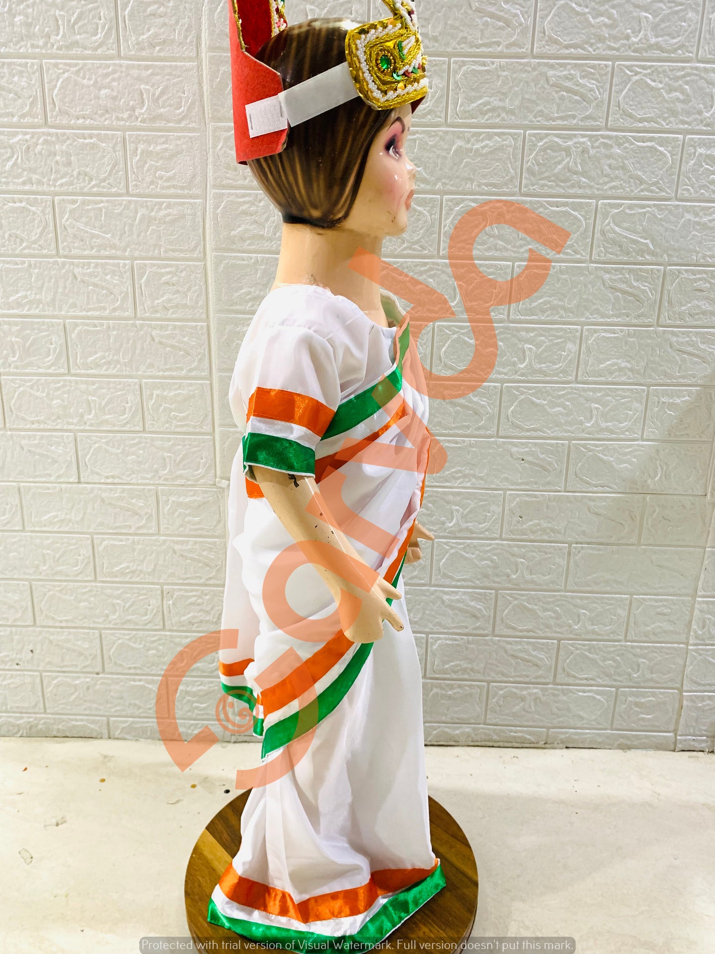 Tiranga Saree Dress