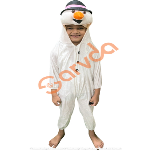 Snowman Costume