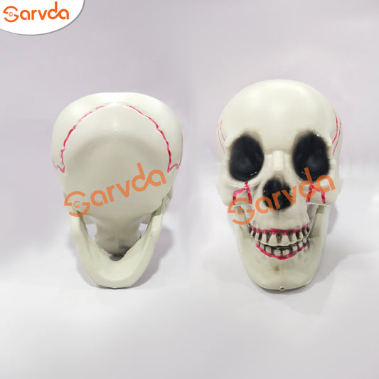 Zabra Mundi or Skull