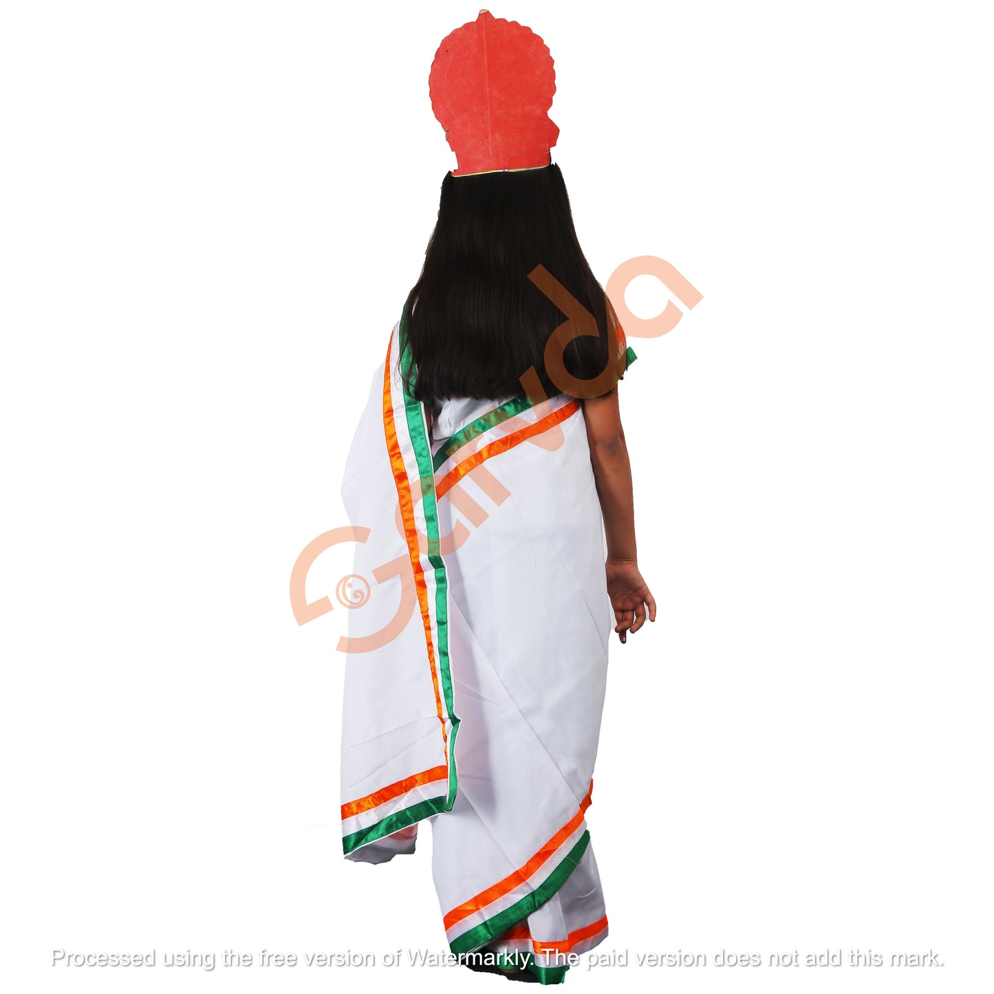 Tiranga Saree Dress